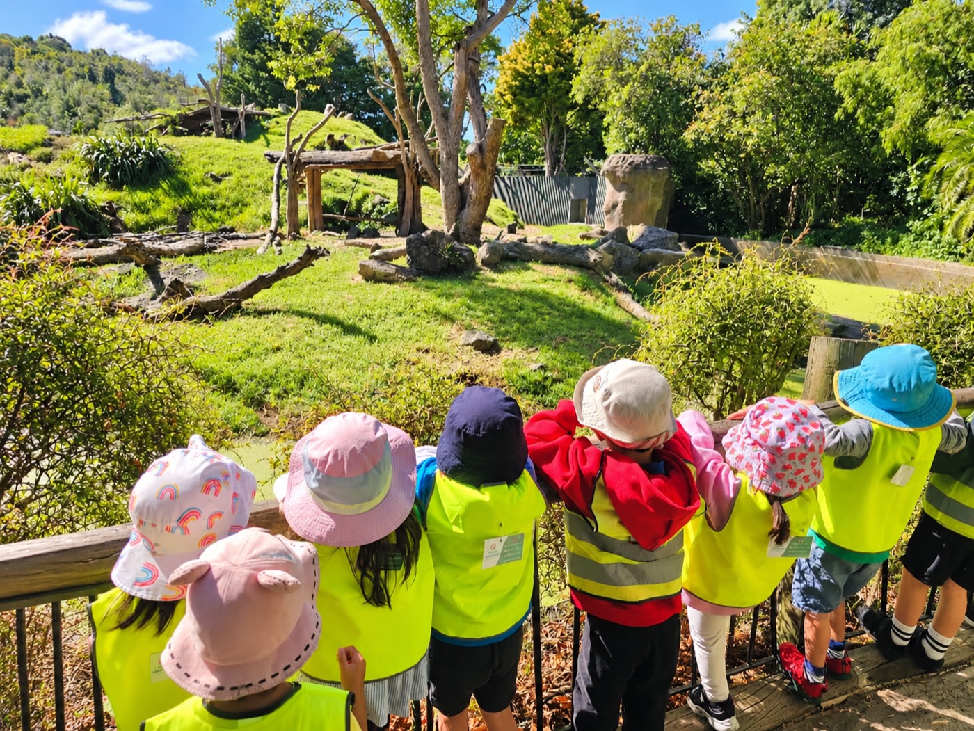 Tamariki in hi-vis vests on a nature walk